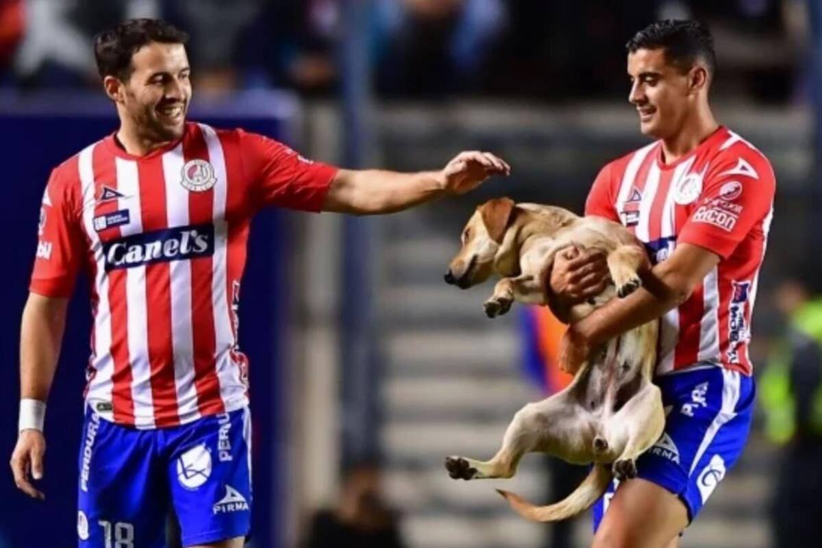 Perro invade cancha mientras San Luis vence a Cruz Azul