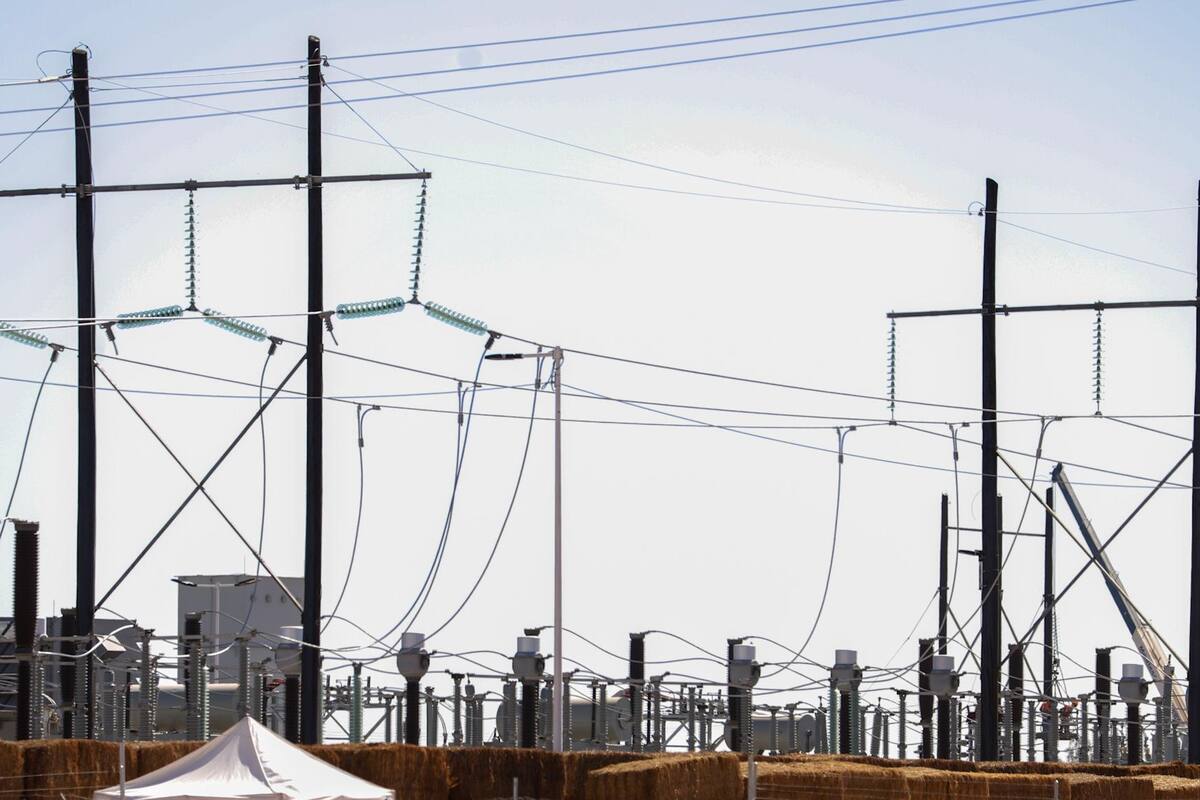 Construcción de planta de CFE va en tiempo y forma: CEE