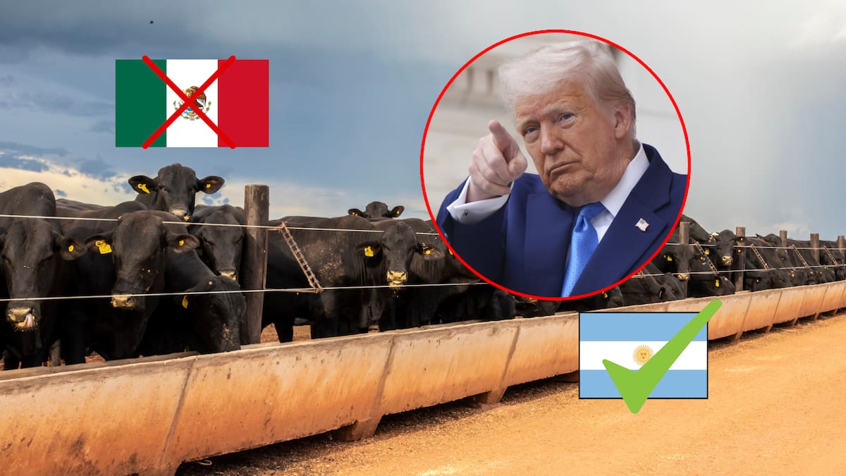 Trump ya tiene un problema con la carne en Estados Unidos por los aranceles a importadores y cierres fronterizos a México; ahora ruega para que ganaderos locales bajen sus precios