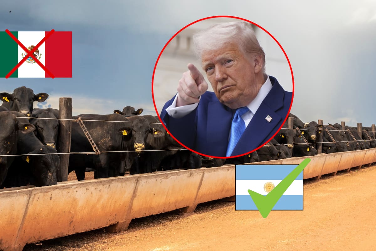 Trump ya tiene un problema con la carne en Estados Unidos por los aranceles a importadores y cierres fronterizos a México; ahora ruega para que ganaderos locales bajen sus precios