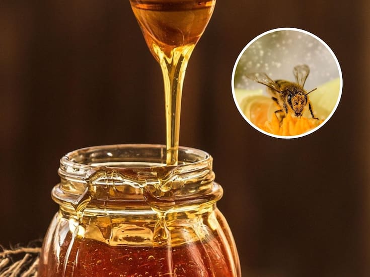 ¿Qué pasaría si desaparecen las abejas? El caos que provocaría