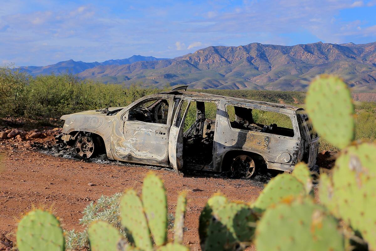 "Violencia causa desconfianza en la población hacia las autoridades": CEM