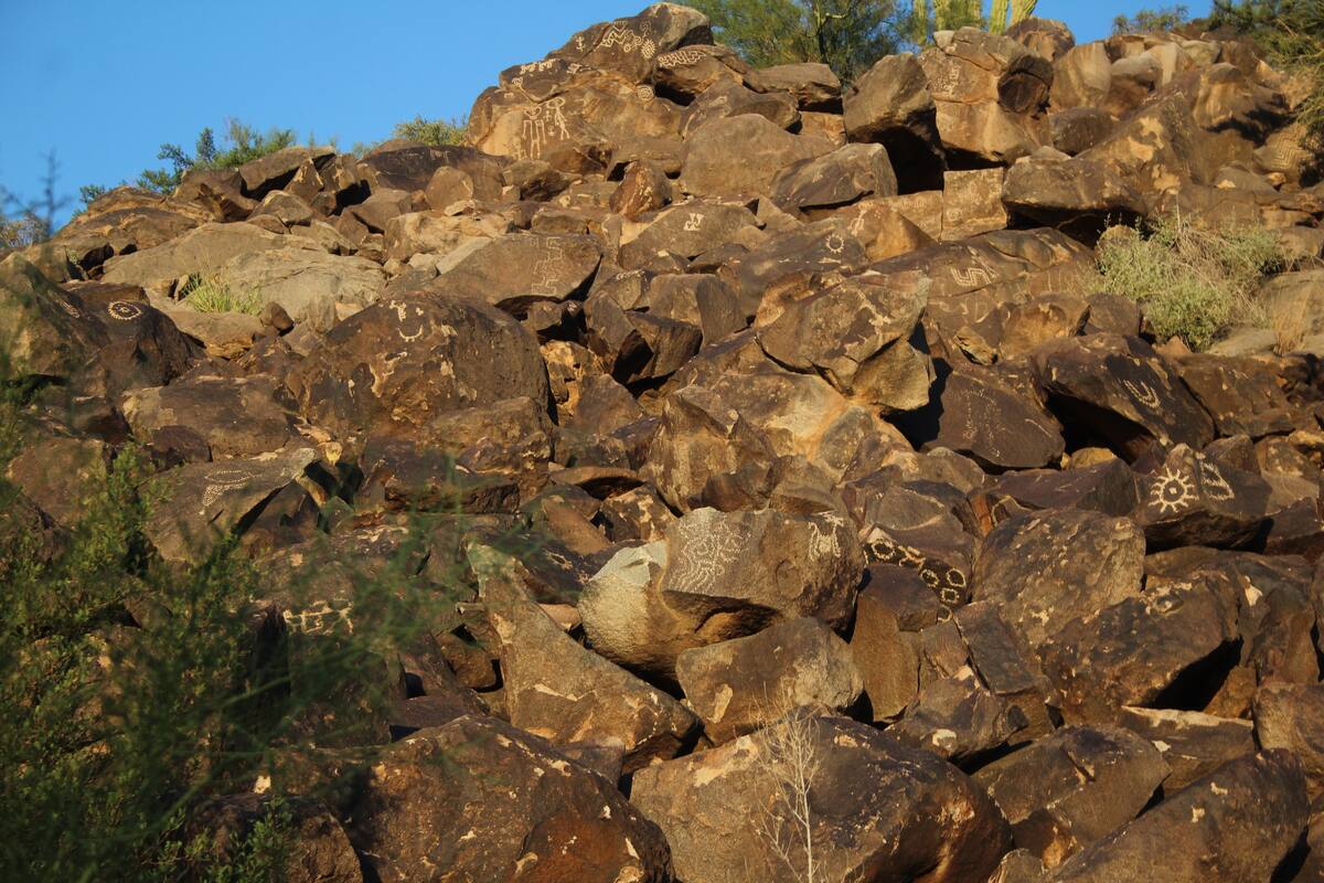 La zona arqueológica de La Proveedora posee la mayor cantidad de petrograbados en Latinoamérica.