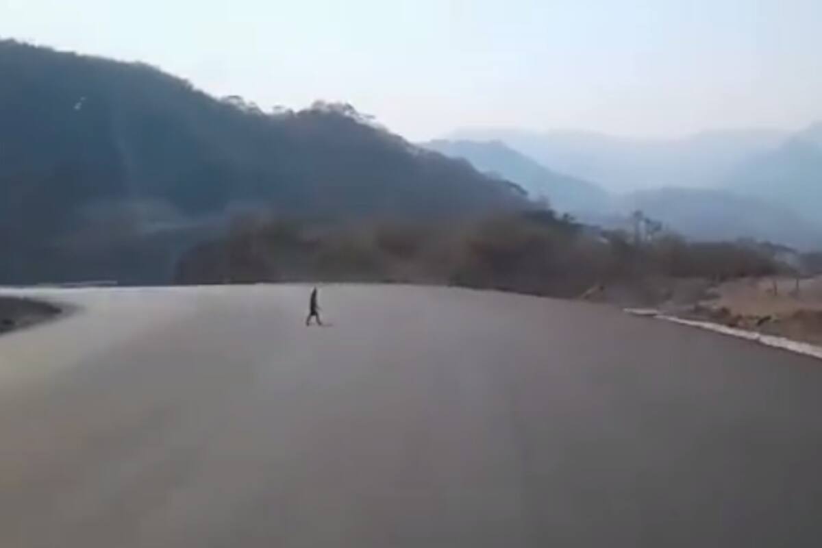 ¿Es verdad que vieron un duende en Sonora?