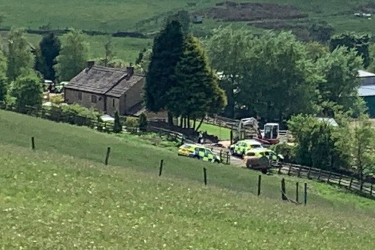 Inglaterra: Niño de 3 años muere tras supuesto ataque de un perro