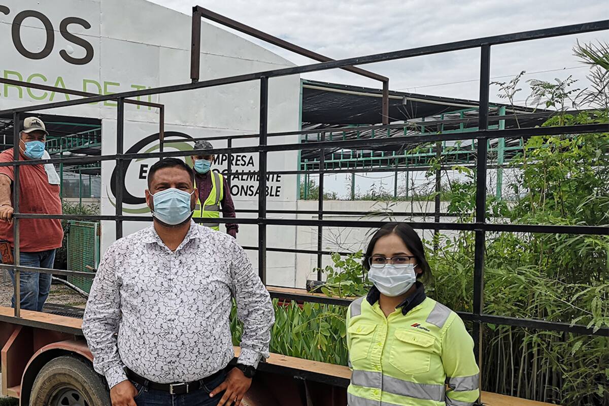 Cemex pinta de verde más municipios en Sonora