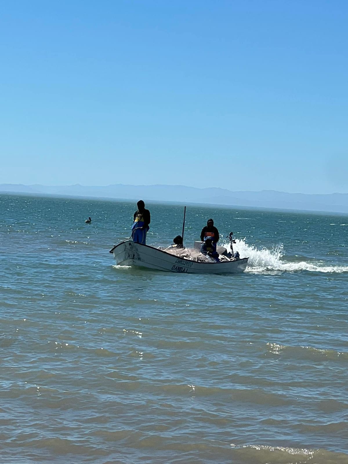 La actividad genera empleo para aproximadamente mil personas, entre habitantes del Golfo de Santa Clara y trabajadores provenientes del valle de San Luis Río Colorado.│Foto: Cortesía