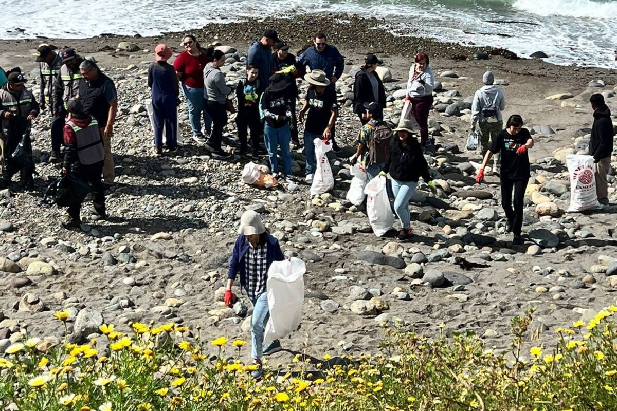 Recolectan más de 100 kg de basura de Playa 3 EMES