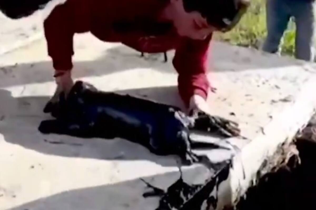VIDEO: Niño salva a un cachorro sacándolo de un pozo de petróleo