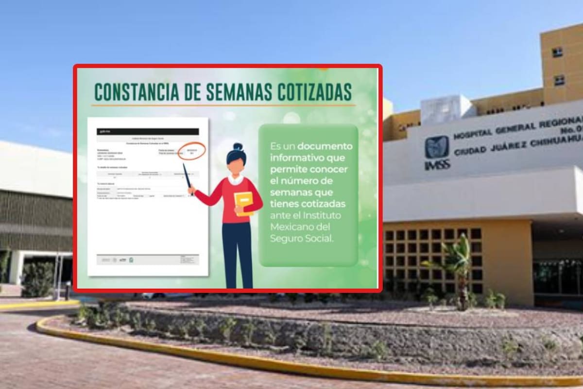 Constancia de semanas cotizadas en el IMSS: Cómo puedes solicitarla y cuáles son los documentos que necesitas presentar en ventanilla o en línea