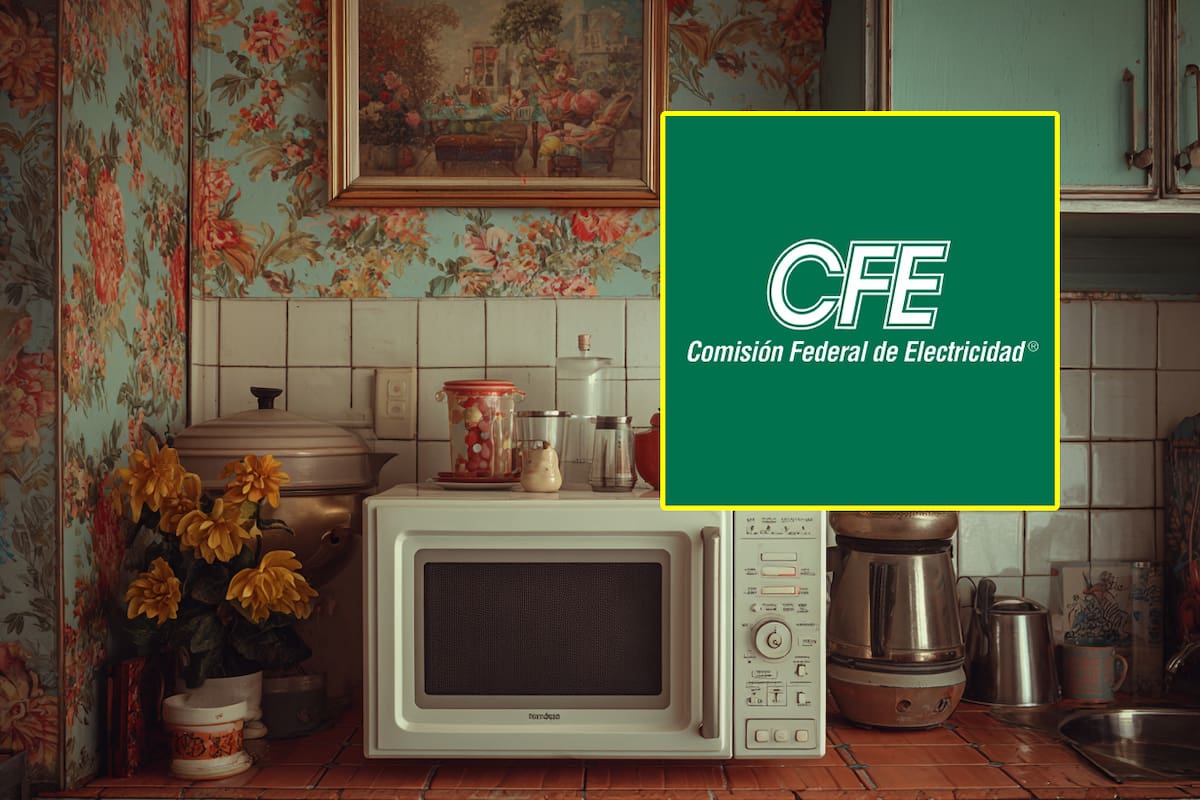Cómo usar el microondas para ahorrar luz, según recomendaciones de la CFE