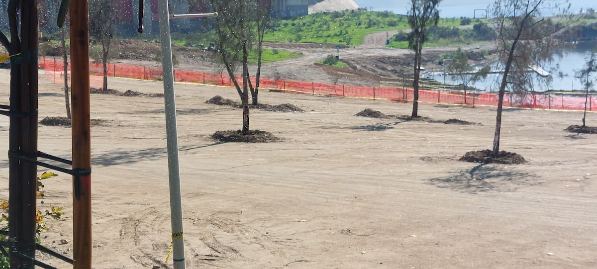 Luego de permanecer cerrado por la mortandad de peces registrada en la presa Abelardo L. Rodríguez, el Parque Esperanto reabrió este miércoles sus puertas al público, aunque el perímetro de la presa continúa acordonado. Foto: Michelle Castillo