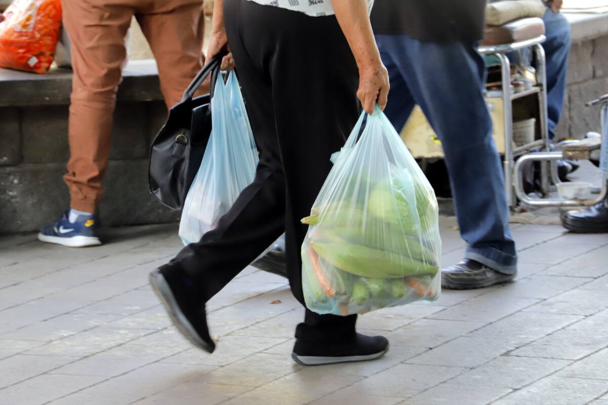 ¿Cuáles son los productos de la canasta básica de acuerdo con Profeco?