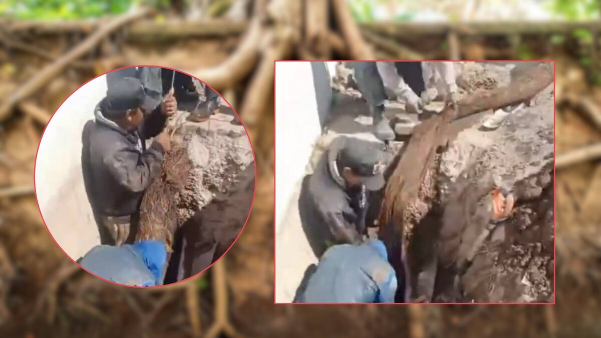 Sapase extrajo dos raíces de hasta 8 metros que obstruían tuberías de 8 y 10 pulgadas y restableció suministro tras 10 años sin agua en colonias de Ecatepec, según reporte oficial del organismo municipal