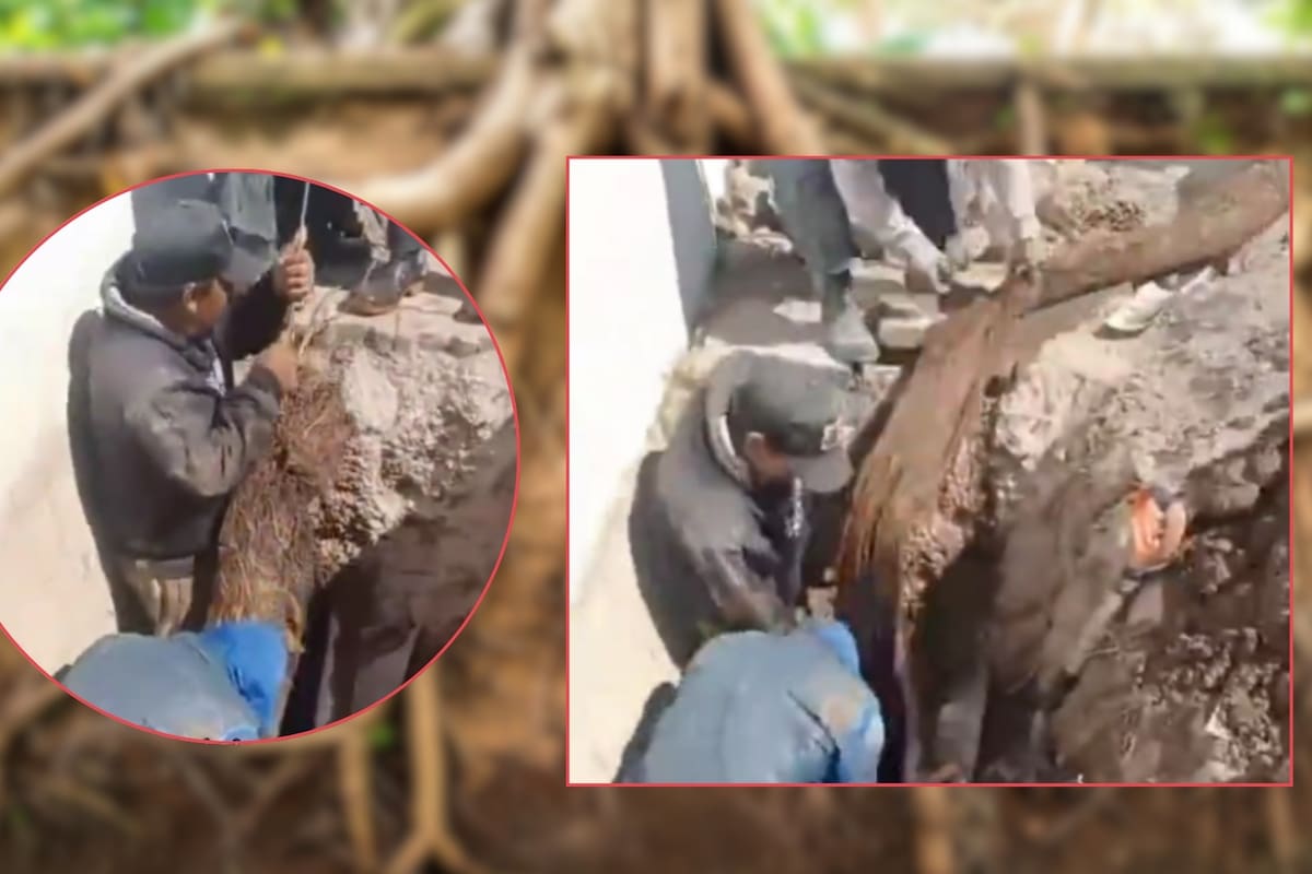 Sapase extrajo dos raíces de hasta 8 metros que obstruían tuberías de 8 y 10 pulgadas y restableció suministro tras 10 años sin agua en colonias de Ecatepec, según reporte oficial del organismo municipal