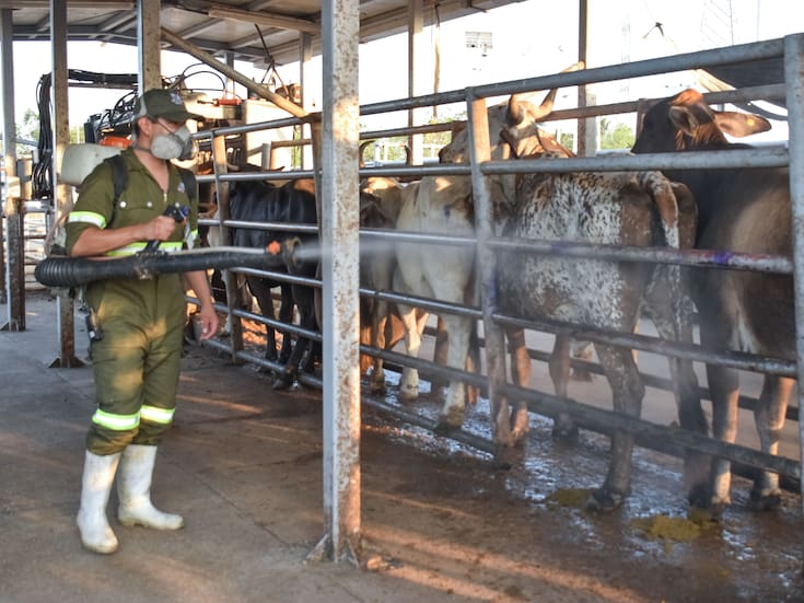 Atienden de manera inmediata caso de gusano barrenador del ganado en el Estado de México