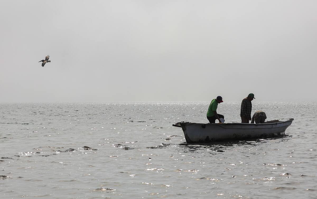 Pescadores de Yavaros pasan dificultades durante la temporada de veda. FOTO: BANCO DIGITAL