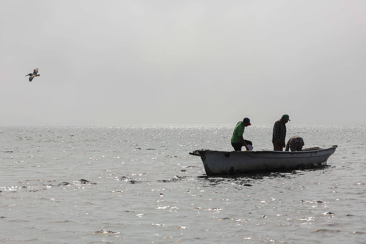 Bienpesca: el Gobierno de Sinaloa y Conapesca firmaron un convenio para beneficiar a más de 32 mil 500 pescadores y acuacultores, con una inversión de 122.2 millones de pesos