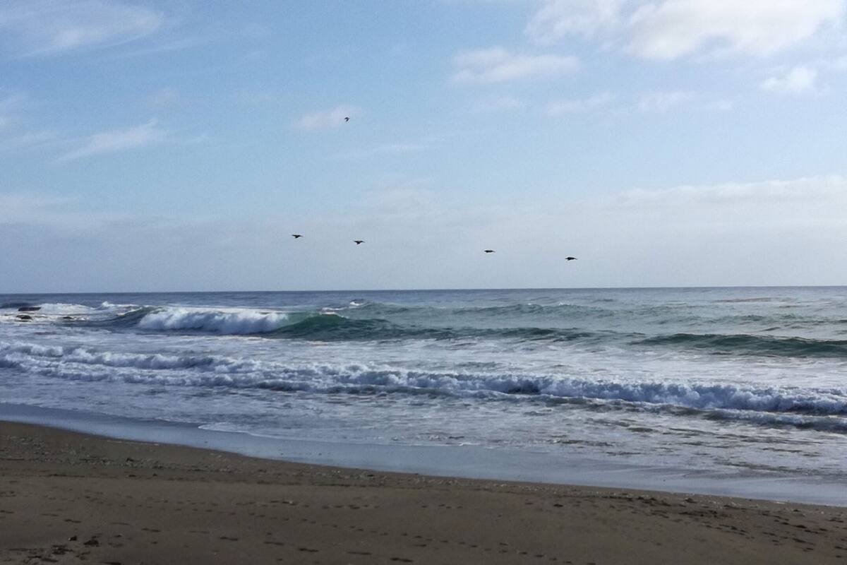 Encuentran cuerpo en playa de Vicente Guerrero
