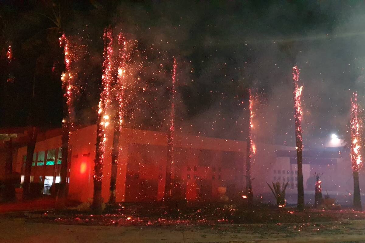 FOTOS: Arden en llamas palmeras frente a Unison