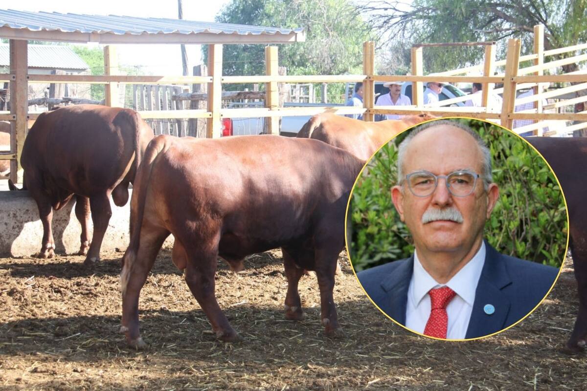 “Actuamos con cabeza fría”: Sader responde carta de EU sobre gusano barrenador