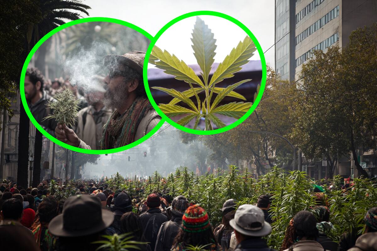 Marcha a favor de la mariguana: Todo lo que debes saber sobre la megamanifestación nacional