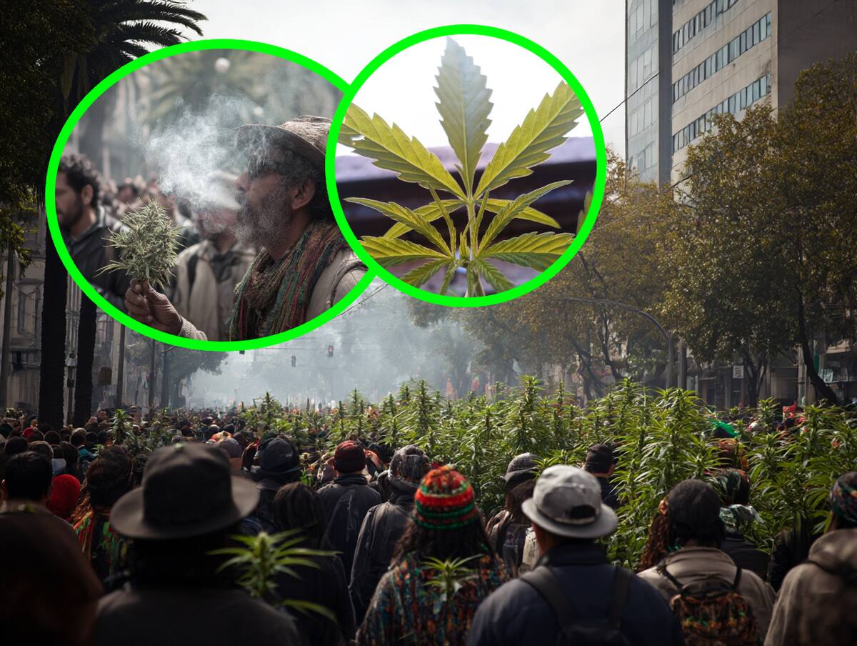 El 20 de abril, la Ciudad de México celebrpo el Día Mundial de la Marihuana con una serie de actividades organizadas por colectivos pro-cannabis. Aunque la Marcha Cannábica oficial está programada para el 3 de mayo, se hicieron festivales, concentraciones y eventos culturales en distintos puntos de la ciudad.