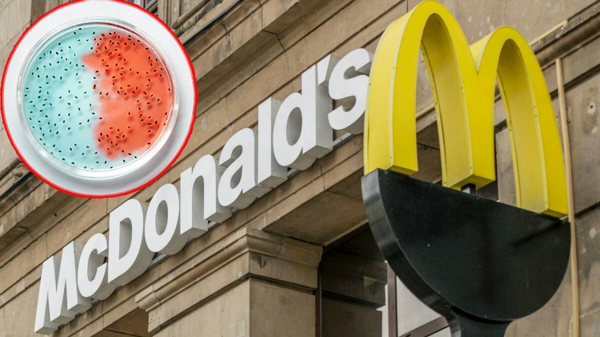 La infección por E. coli puede provocar calambres abdominales severos, diarrea y vómitos.