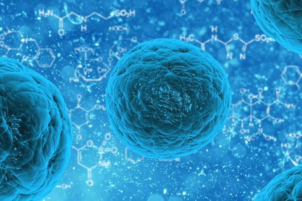 Las células cancerígenas se tornan caníbales para sobrevivir a la quimioterapia