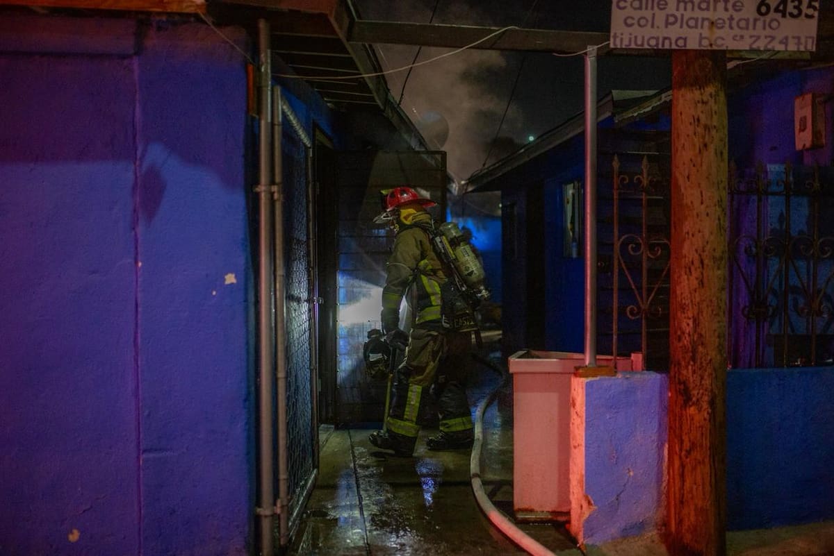 Rescataron conejos que se encontraban dentro del inmueble.