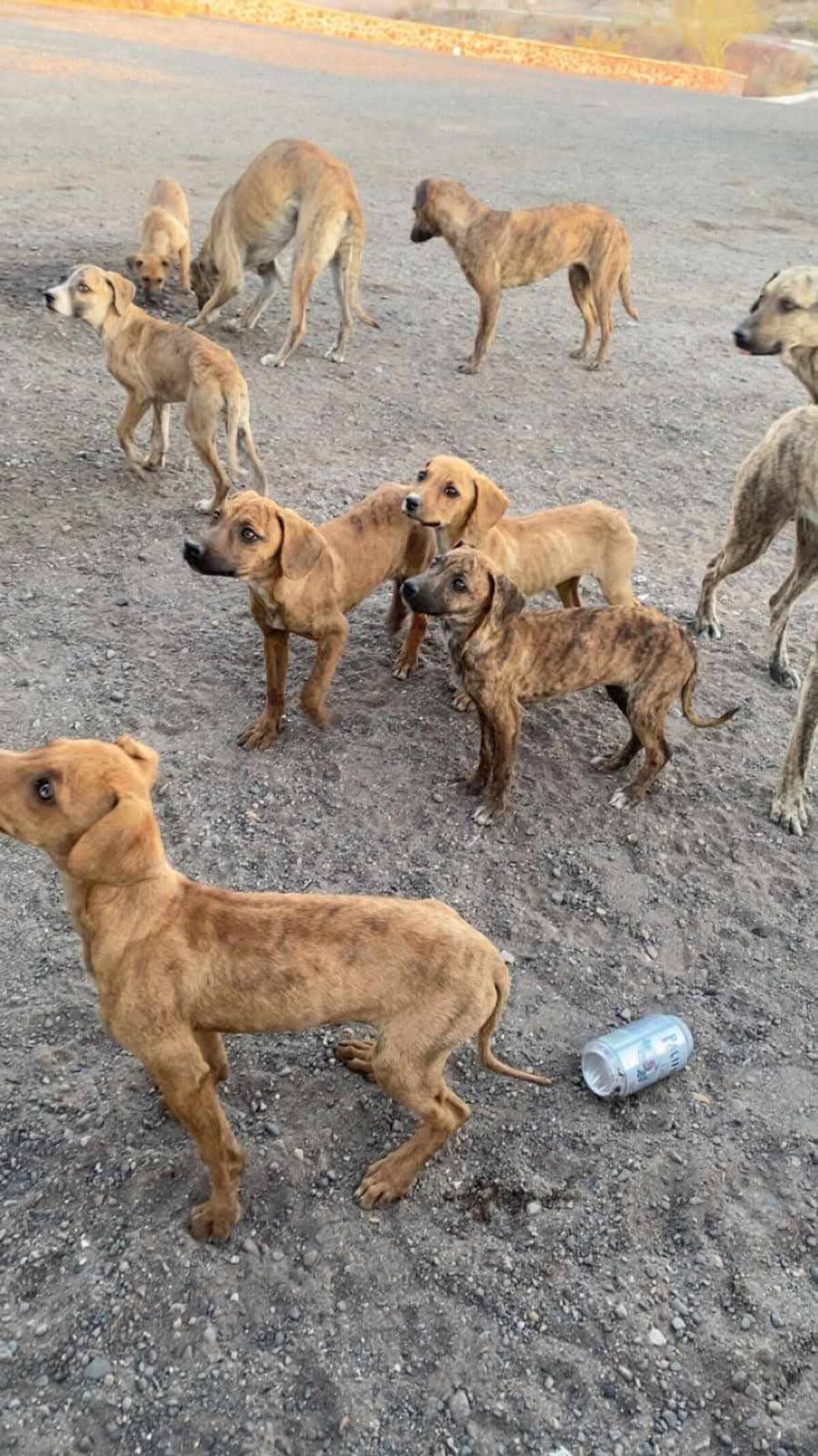 Imagen por Mayra Echeverría.