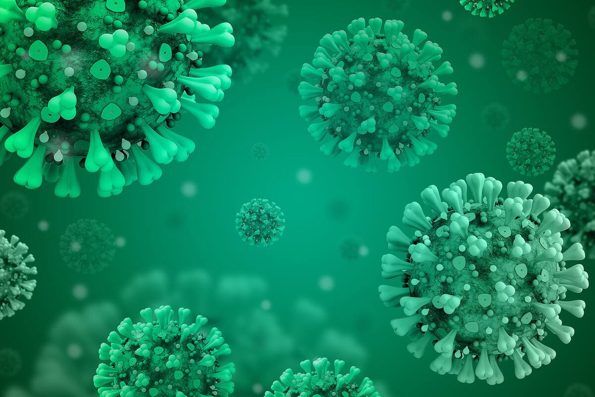 'Gripe del tomate': India en alerta sobre posible nuevo virus; ¿cuáles son sus síntomas?