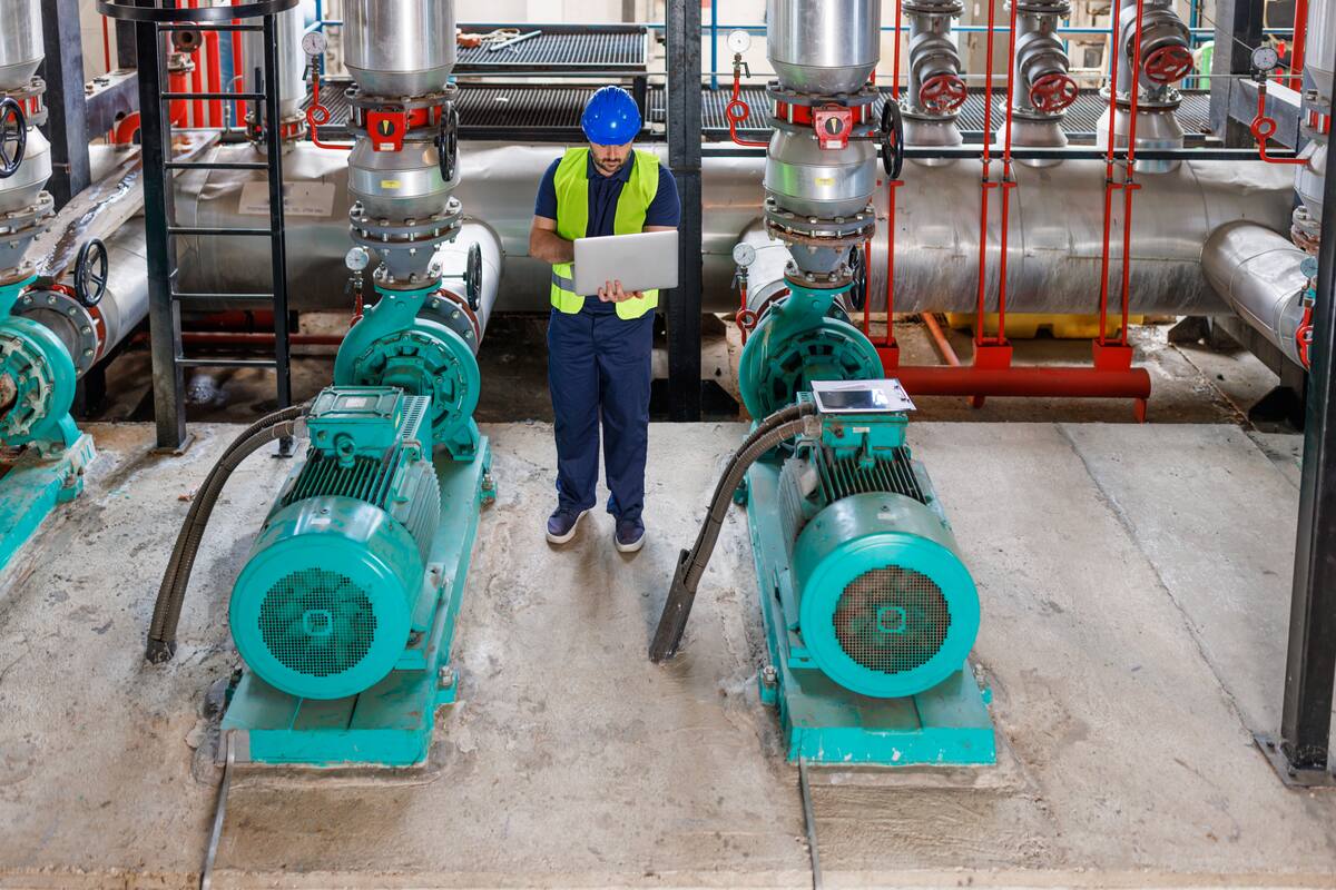 Un sector con dinamismo económico