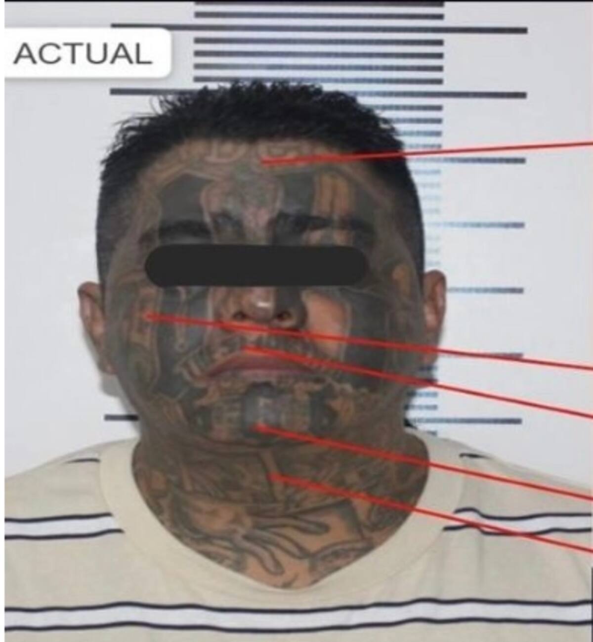 "El Smoking" detenido en Mérida. / @sspyuc vía X. - La Jornada.