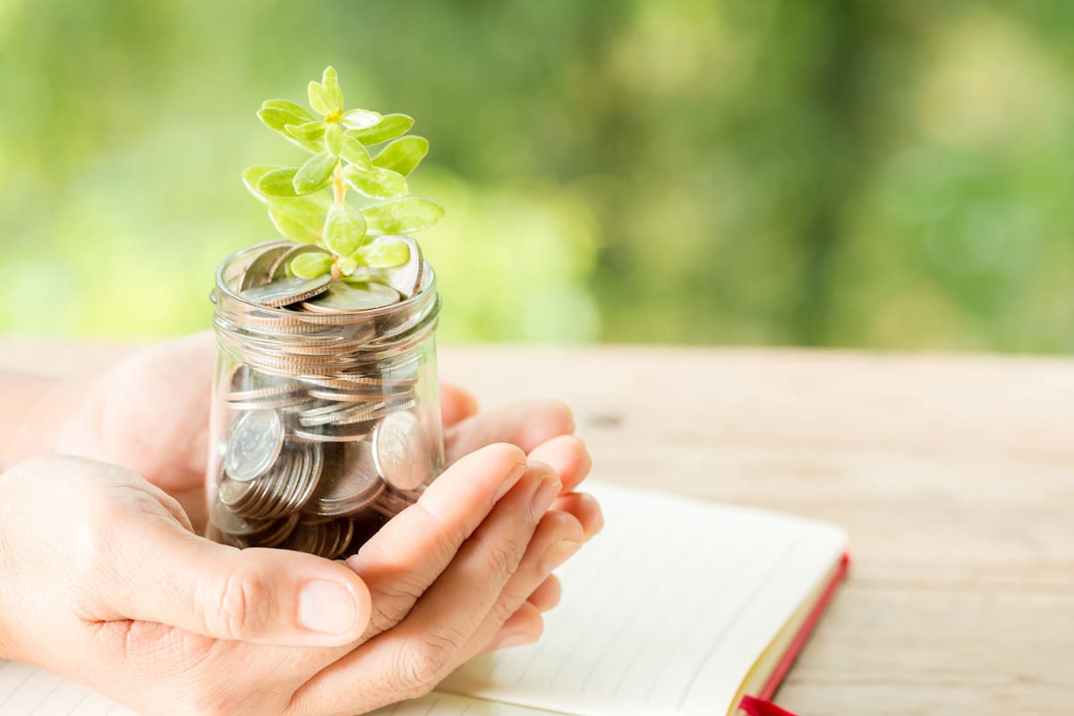 Ahorro e inversión darán frutos en el futuro.