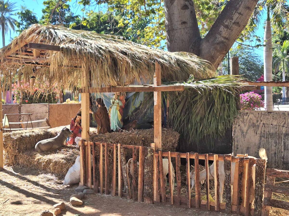 Vista del nacimiento viviente de Cócorit, afectado por un ataque que causó la pérdida de varios animales y daños en las estructuras. / Imagen por Mayra Echeverría.