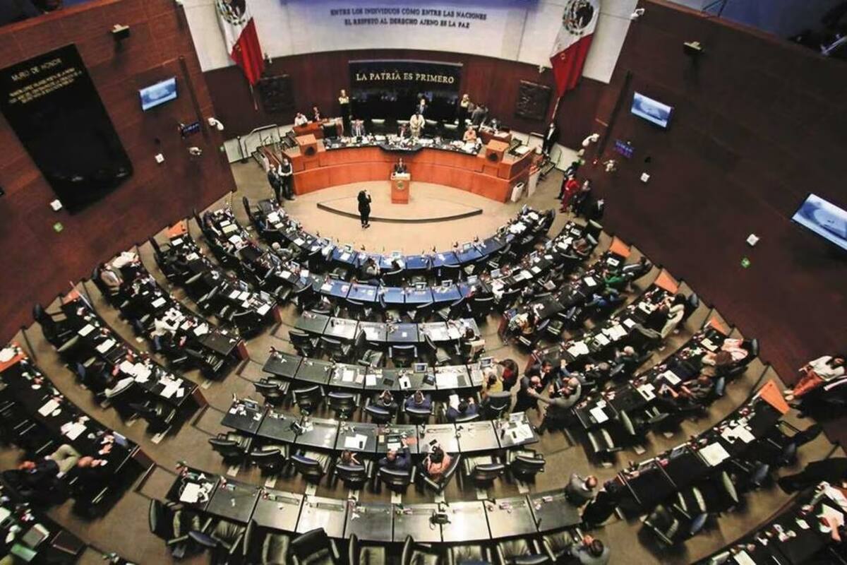 Alista Senado reforma para regular cirugía estética