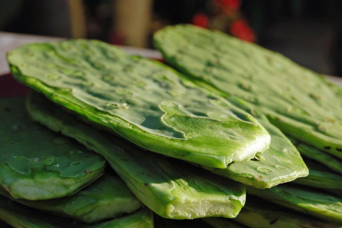 Verduras de marzo: 5 verduras que no pueden faltar en tu cocina