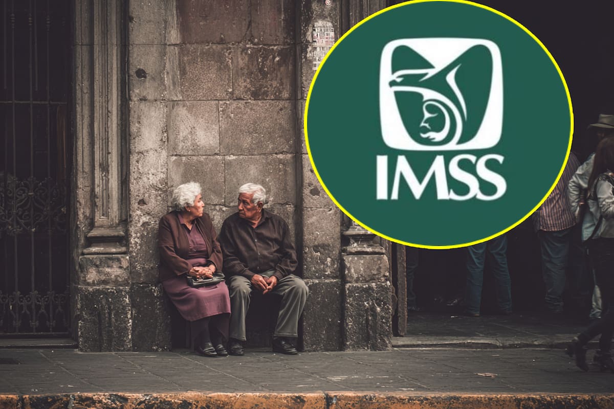 ¿Qué recursos me devuelven al pensionarme por el IMSS bajo la ley del 73 y la del 97?