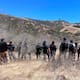 Localizan fosa clandestina con dos cuerpos en El Sauzal