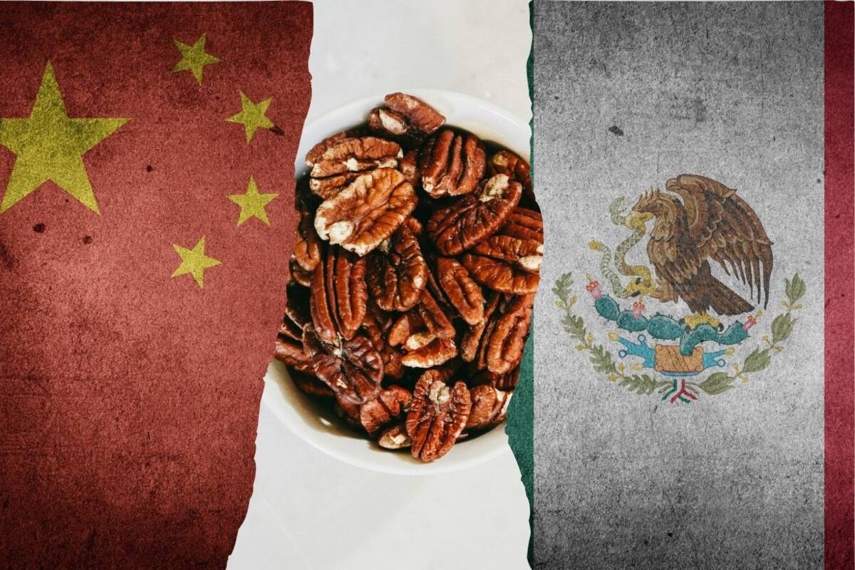 China impone cuotas preliminares de hasta 51.6% a nuez pecana de México tras una investigación antidumping iniciada en septiembre de 2025 y exportadores mexicanos tienen 10 días para responder antes de la resolución definitiva