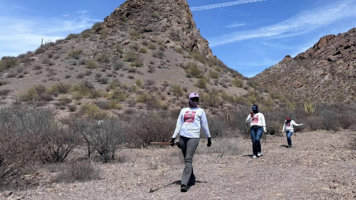 Colectivos de Sonora piden un “pacto de no agresión” para buscar a sus desaparecidos