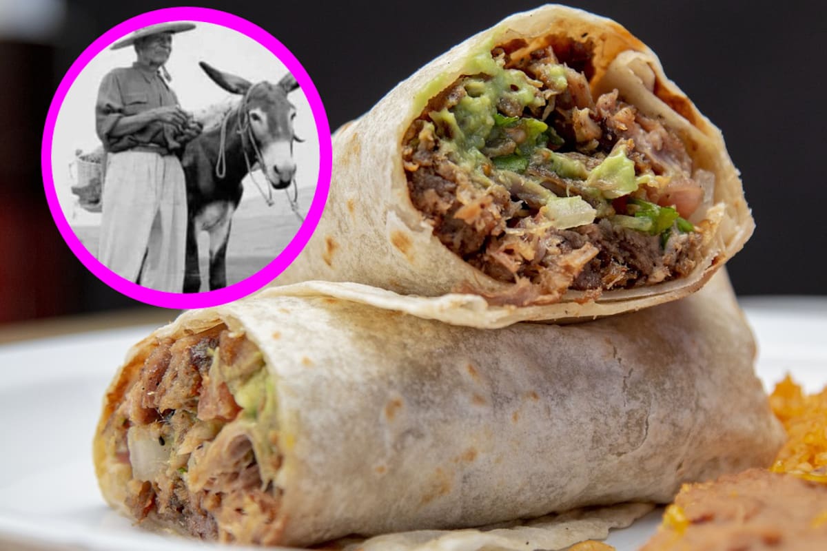 ¿Por qué los burritos se llaman así?: Descubre el origen de su curioso nombre