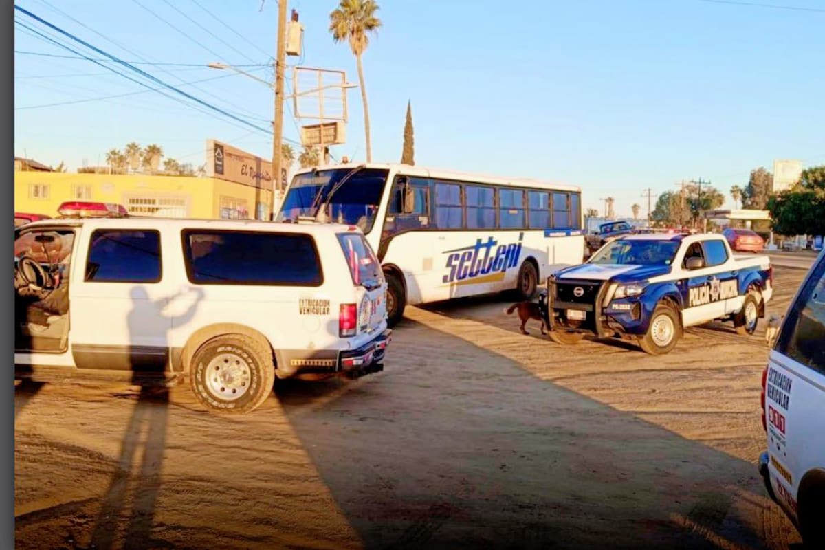 Camión agrícola atropella a mujer en Ensenada
