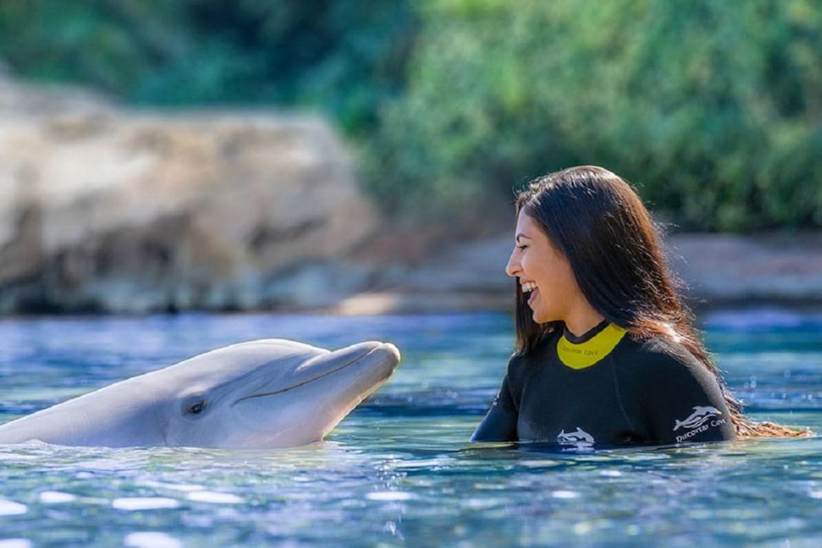 Nada con delfines en SeaWorld San Diego