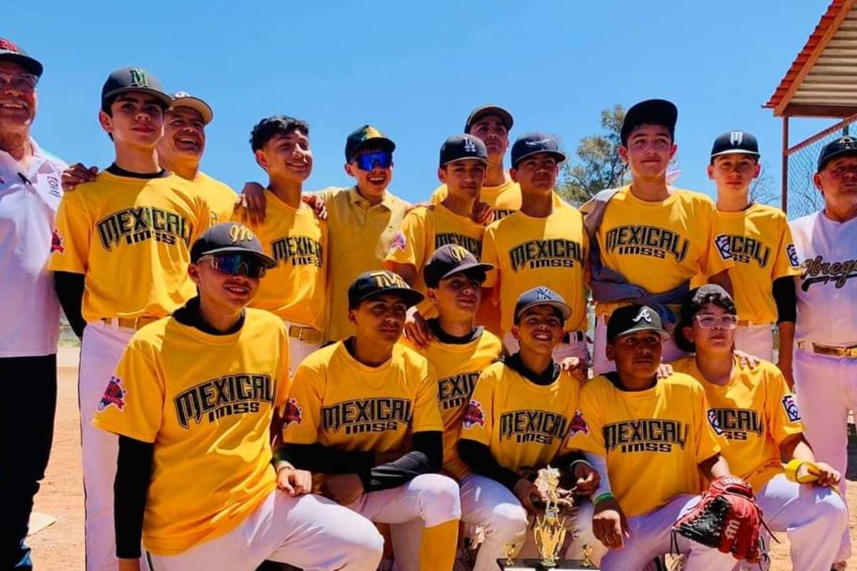 Liga del IMSS clasificó al Nacional de 2010-2011