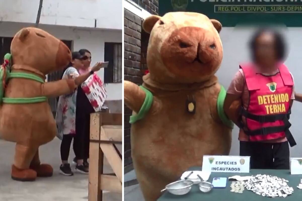 Policía peruana usa botarga de capibara para capturar a traficante de drogas