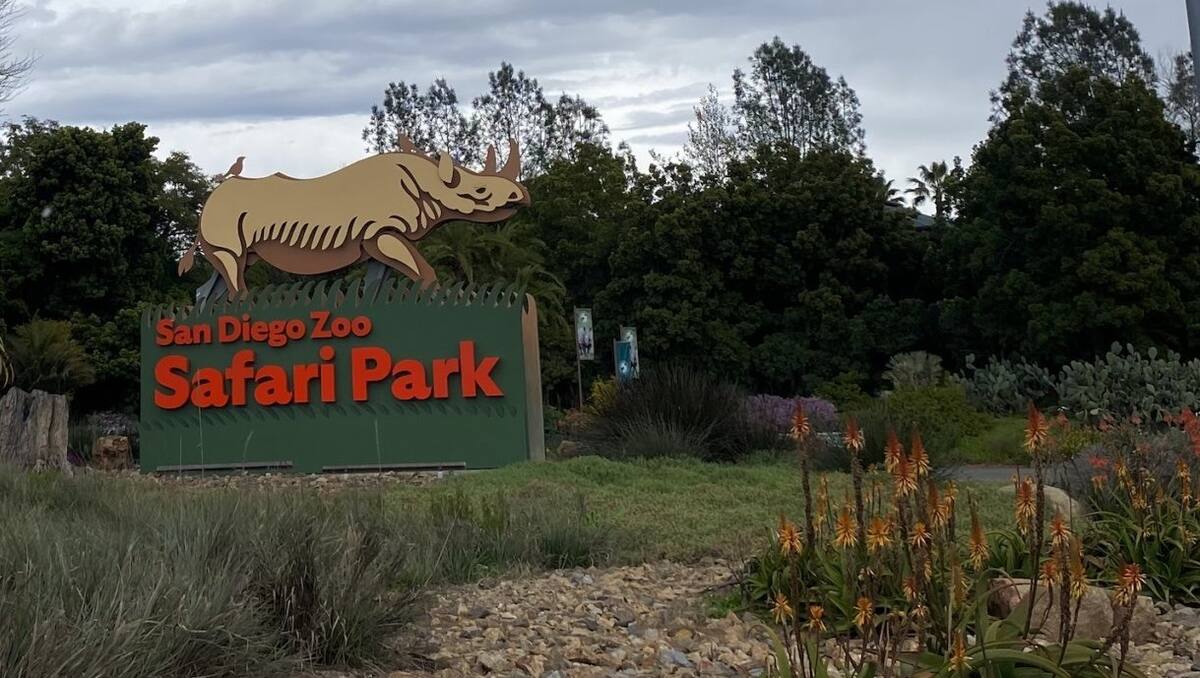 Safari Park