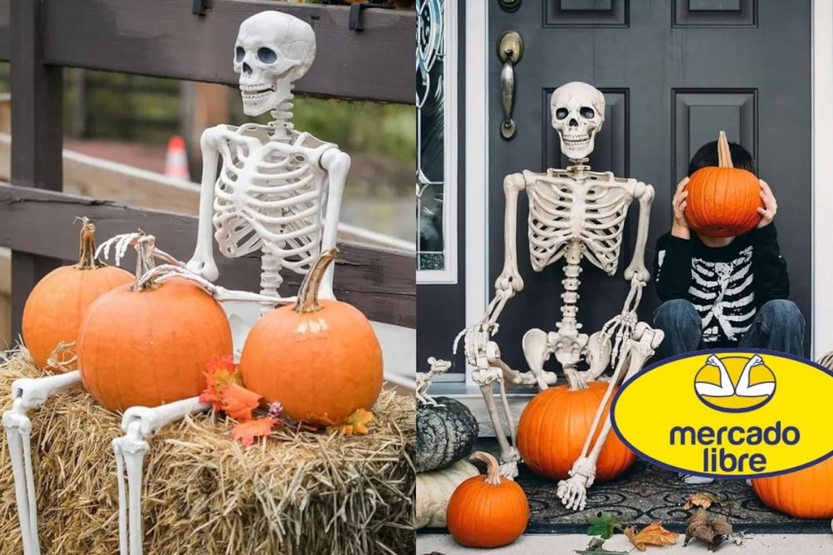 Esqueleto articulado de 90 centímetros para decoración de Halloween y Día de Muertos se vende por 524 pesos en Mercado Libre