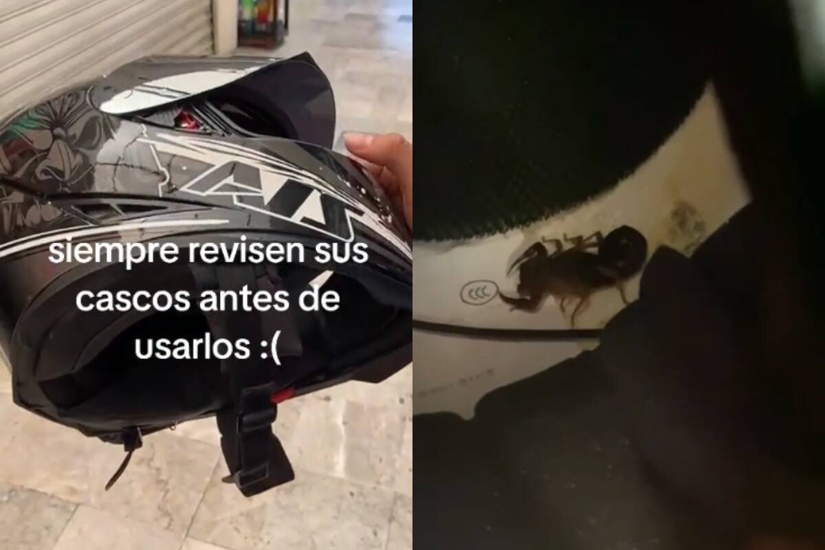 Hombre se lleva una gran sorpresa al encontar un alacrán dentro de su casco | VIDEO